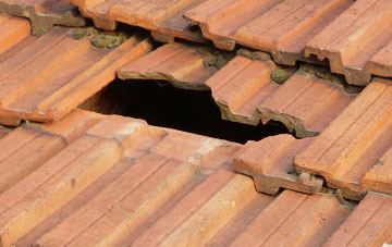 roof repair Wickmere, Norfolk